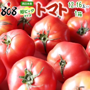 超ビッグサイズ　トマト　1箱　12～16玉入(北海道沖縄離島等別途加算) とまと トマトジュース トマトケチャップ