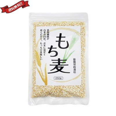 もち麦 国産 もち麦 250g 送料無料