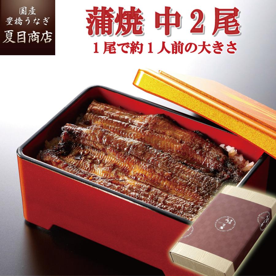 うなぎ 鰻 国産 プレゼント ギフト 蒲焼き 115-130g×2尾 化粧箱 送料無料 お歳暮 贈り物 誕生日 内祝い