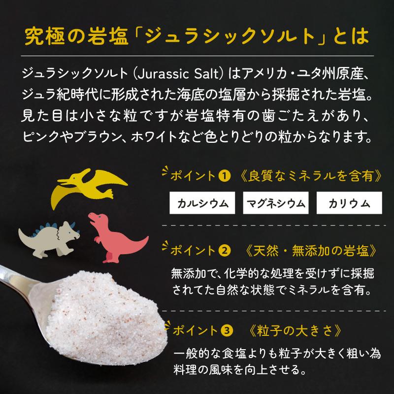岩塩 ミックスナッツ 49ｇ 5袋セット ジュラシックソルト 有塩 お酒 おつまみ 塩分補給