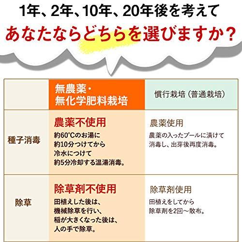 白米 無農薬 コシヒカリ 「特選」 5kg 令和5年福井県産 真空パック 特別栽培米 無農薬 無化学肥料栽培