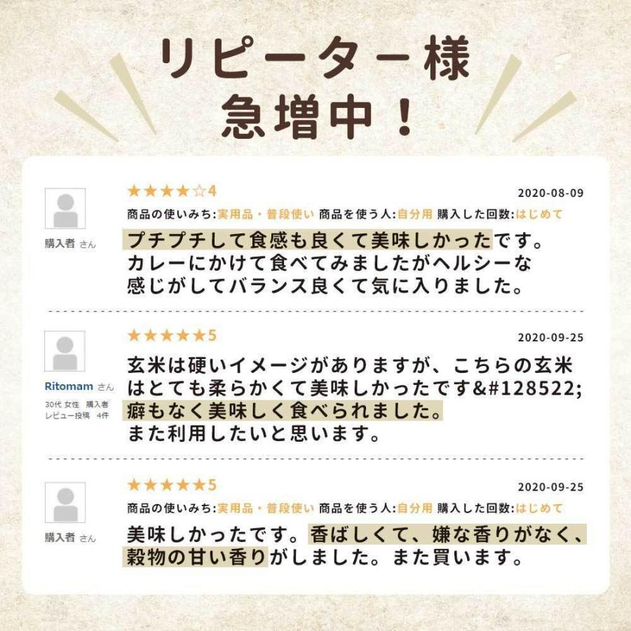 100%有機原料 玄米レトルトパックご飯 160g×3個 送料無料 おにぎり お弁当 TSG