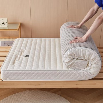 乳膠床墊立體加厚記憶棉軟床墊租房酒店學生宿舍單人海綿床墊子