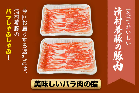 バラしゃぶしゃぶ 600g 清村養豚《60日以内に順次出荷(土日祝除く)》肉 豚 豚肉