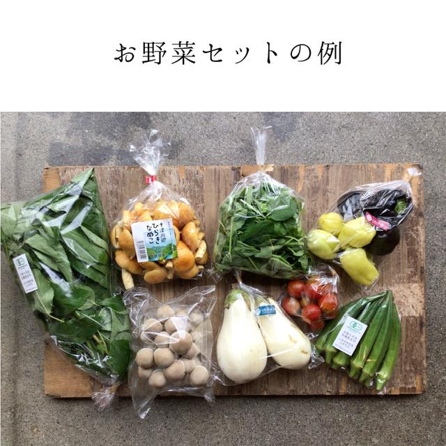 旬の無農薬野菜セット Msize   送料込み　8〜10品目　京都産中心　野菜セット　宅配　夏場は冷蔵、冬場は常温で配送