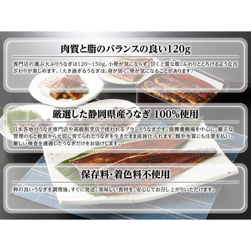 静岡県産無添加うなぎ長蒲焼き 3尾（120g×3）