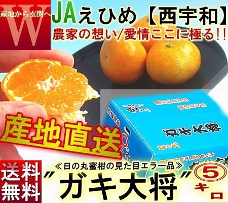 産地直送 日の丸みかん ガキ大将 約5kg M～2Lサイズ 愛媛県産 訳あり品 JAにしうわ 大玉サイズのブランド蜜柑をお得な価格でご配送！