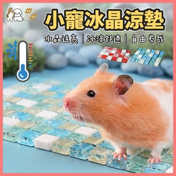 【好命寵物】冰晶涼感墊 小寵涼蓆墊 小寵冰晶墊 涼感墊 水晶涼感墊 倉鼠散熱墊 鼠涼感墊 倉鼠散熱板 倉鼠散熱墊 散熱板