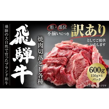 ふるさと納税 訳あり 飛騨牛 焼肉 切落とし 600g（150ｇ×4パック）使い勝手の良い 小分け 冷凍真空パック 株式会社飛騨高山ミート MZ014 【.. 岐阜県高山市