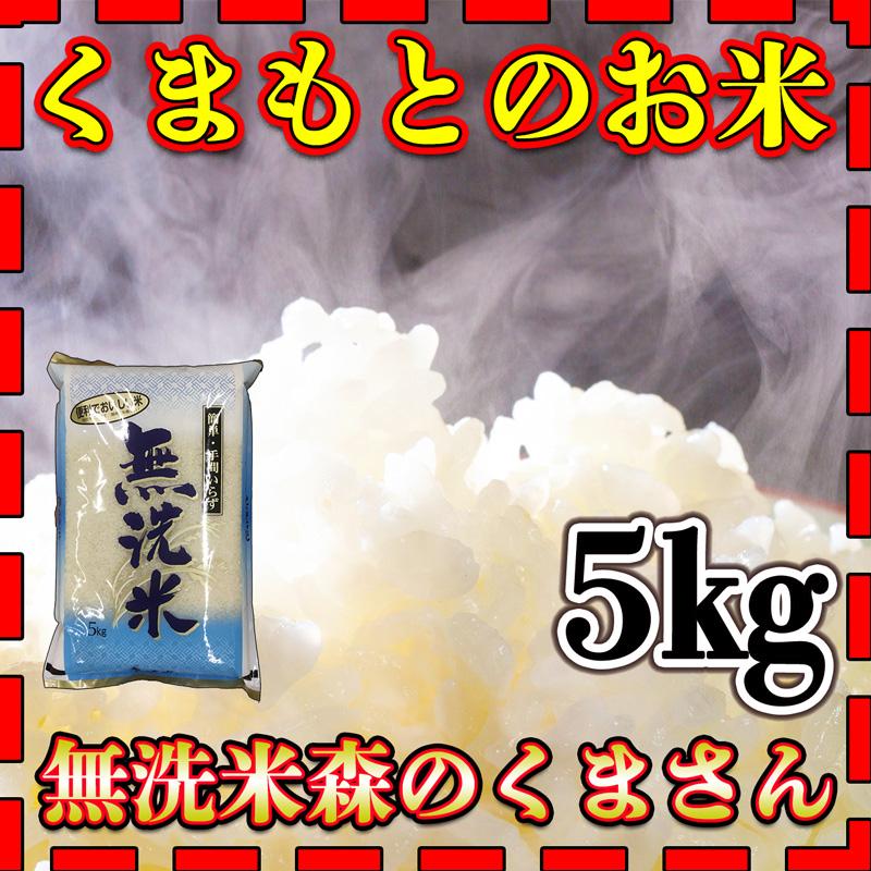 お米 米 5kg 白米 無洗米 熊本県産 森のくまさん あすつく 新米 令和5年産 5kg1個 くまもとのお米 富田商店 とみた商店