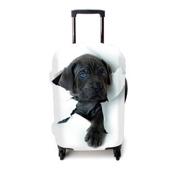 彈力箱套│快樂黑皮【L 號】