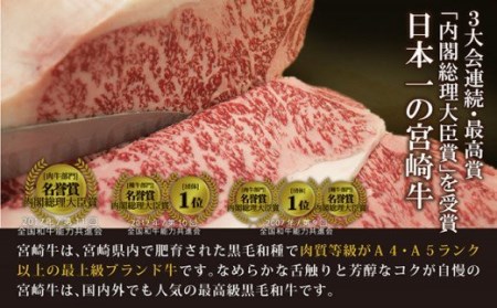 宮崎牛6種盛 焼肉食べ比べセット