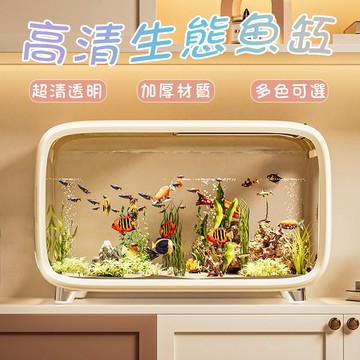 🔥台灣出貨🚚小型魚缸 水族箱 生態魚缸 桌面小型水族缸 懶人魚缸 生態飼養箱 烏龜缸 客廳小魚缸 鬥魚缸 孔雀魚缸