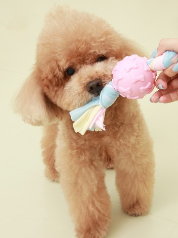 寵物馬卡龍色系繩結磨牙玩具(兩入一組)