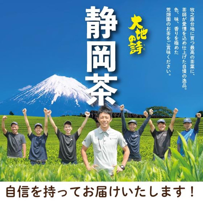 お茶 新茶 2024 緑茶 茶葉 深蒸し茶 日本茶 お茶の葉 静岡茶 日本茶 カテキン 送料無料 静岡茶旬 100g 3袋 | LINEショッピング