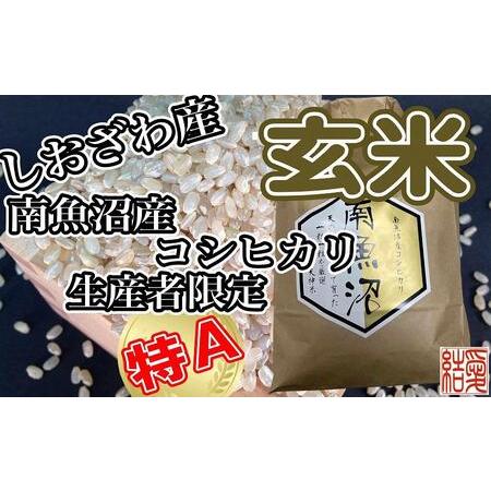 ふるさと納税 玄米 南魚沼しおざわ産コシヒカリ5Kg×3ヶ月 新潟県南魚沼市