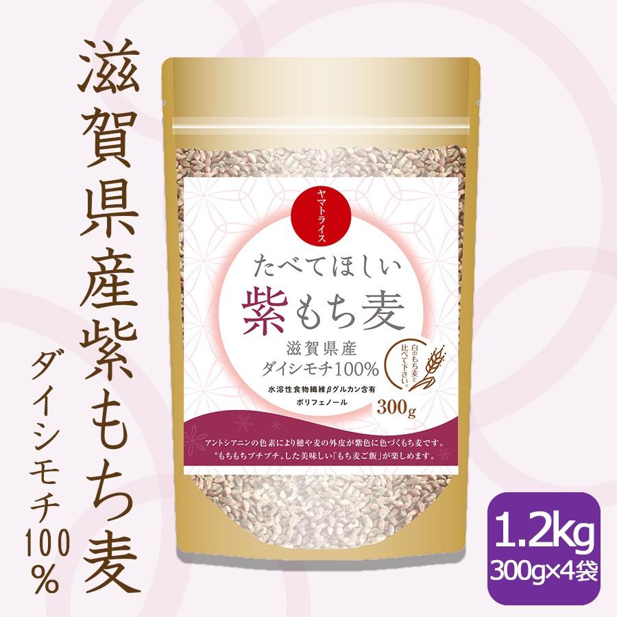 紫もち麦 国産 ダイシモチ 1.2kg (300g×4袋) 滋賀県産 もち麦