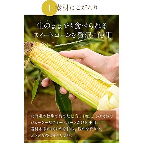 hotsiina プレミアムコーンポタージュ コーンスープ 業務用 (300g(1袋))