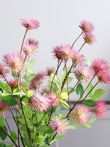 雪絨花假花仿真花客廳擺件展廳設計感飄逸裝飾插花花藝