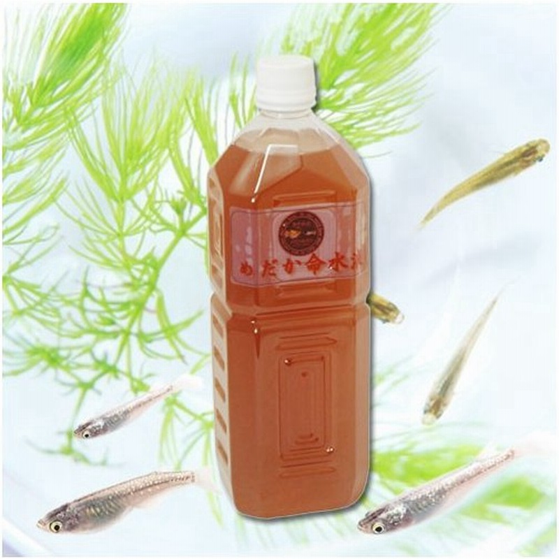 メダカ 命水液 1l 嫌気性バクテリア 年3月製造 通販 Lineポイント最大0 5 Get Lineショッピング