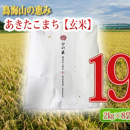 《定期便》16kg×12ヶ月 秋田県産 あきたこまち 玄米 2kg×8袋 神宿る里の米「ひの米」（お米 小分け）