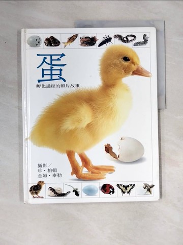 【書寶二手書T3／少年童書_ZTZ】蛋_原價280_羅伯‧柏頓/文，珍‧柏頓、金姆‧泰勒/攝影