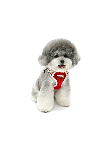 Dot Bear Mesh Harness