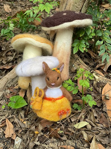 Mushroom Collection  羊毛氈香菇系列可愛兔兔