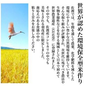 ふるさと納税 佐渡羽茂産コシヒカリ そのまんま真空パック 900g×6袋セット 新潟県