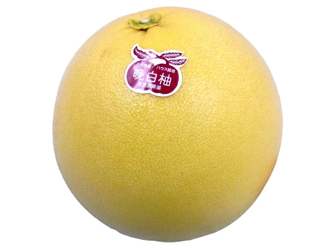 熊本県八代特産 晩白柚 ばんぺいゆ ちょっと訳あり 大玉2Lサイズ 約2kg 予約 12月以降