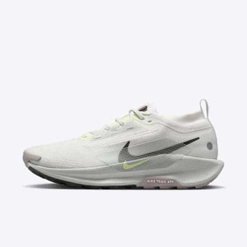 Nike 耐吉 Pegasus Trail 5 GTX [FQ0908-102] 男 越野跑鞋 戶外 防水 緩震 灰白