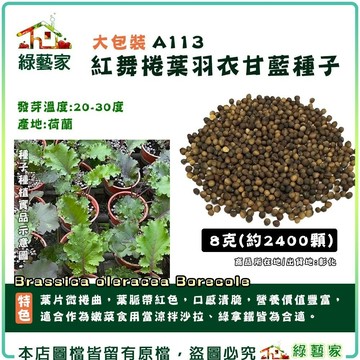 【綠藝家】大包裝A113.紅舞捲葉羽衣甘藍種子8克(約2400顆) 葉片微捲曲，葉脈帶紅色，口感清脆，營養價值