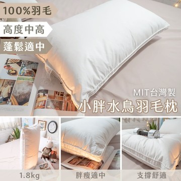 棉床本舖 小胖水鳥羽毛枕頭  (1.8KG) 超蓬鬆 精選素材粒粒飽滿  台灣製 枕頭
