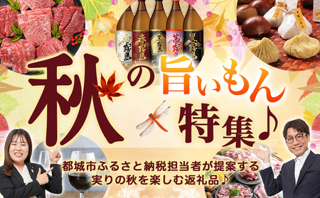 宮崎県産若鶏 5種盛4kgセット_AA-G302_(都城市) 鶏肉 モモ ささみ 手羽元 各1kg 肩小肉 レバー 各500g 冷凍 秋特集