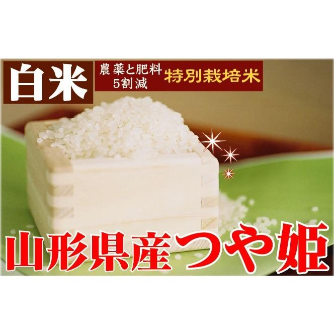 [新米] 令和5年産 5kg×2袋 つや姫 山形県産 精白米 白米 10kg 特別栽培米 送料無料（SL）