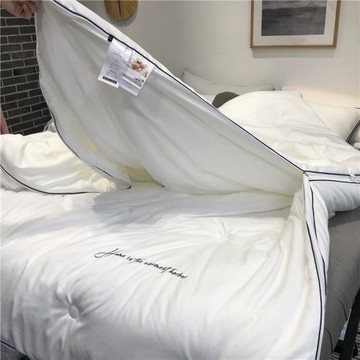 A類芯超柔軟云絨被二合一子母被四季用拉鏈款春秋被加厚保暖冬被