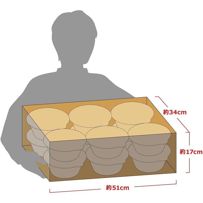 食品 日清食品 どん兵衛 特盛天ぷらそば 西 142g×12個