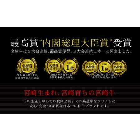 ふるさと納税 ＜宮崎牛＞赤身スライス 300g ※90日以内発送 宮崎県新富町