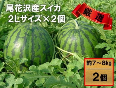 先行予約 スイカ すいか 尾花沢産スイカ 2Lサイズ 約7kg×2玉 7月下旬～8月中旬頃発送 尾花沢 スイカ すいか 令和6年産 2024年産 観光物産 kb-su2xx2