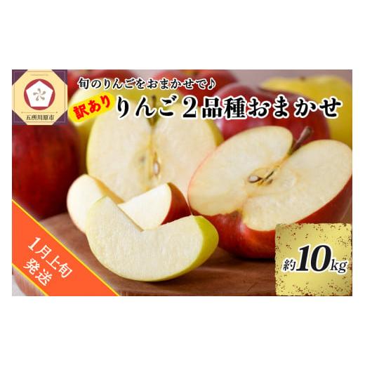 ふるさと納税 青森県 五所川原市   旬の美味しい りんご 約10kg 青森産 