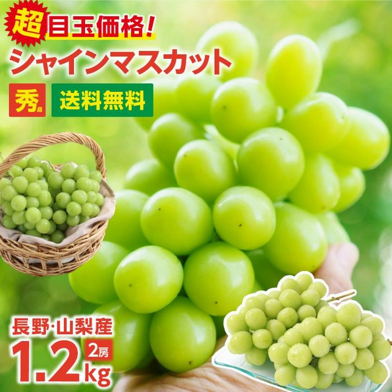 お歳暮　＼最安値に挑戦／　種なし　一房あたり大房の約600g　産地厳選　送料無料　長野・山梨産　ぶどう　シャインマスカット　LINEショッピング　2房　秀品　シャインマスカット　約1.2キロ