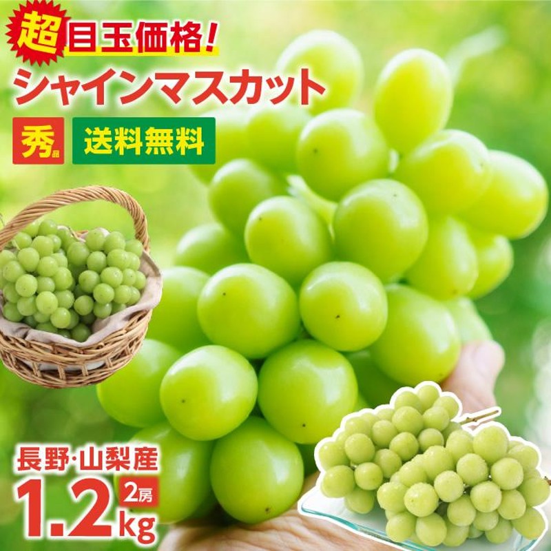 お歳暮　＼最安値に挑戦／　種なし　一房あたり大房の約600g　産地厳選　送料無料　長野・山梨産　ぶどう　シャインマスカット　LINEショッピング　2房　秀品　シャインマスカット　約1.2キロ