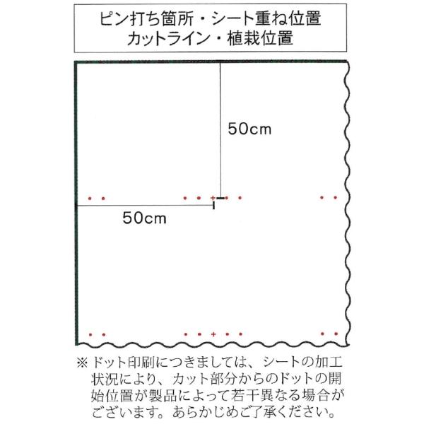 デュポン　防草シート　ザバーン　350G　グリーン　幅2m×長さ30m　（離島・北海道・沖縄発送不可）