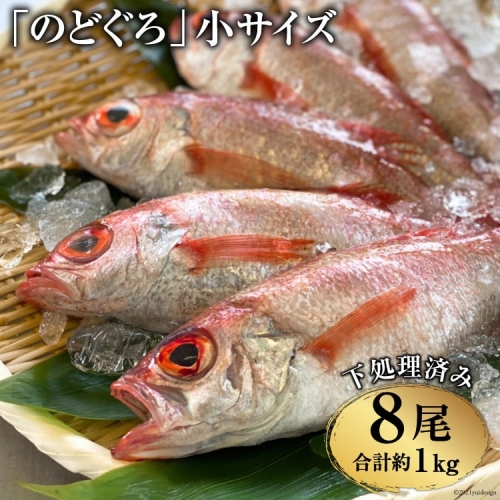 CF092「のどぐろ」小サイズ（120～140g） 8尾　＜煮付け・塩焼き用＞