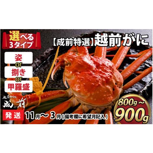 ふるさと納税 福井県 福井市 美味しさ直送！ 越前がに（800g〜900g）×1杯 甲羅盛【11月〜3月発送…