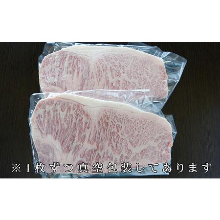 ふるさと納税 A5等級飛騨牛サーロインステーキ用500g（1枚約250g×2枚） 岐阜県瑞穂市