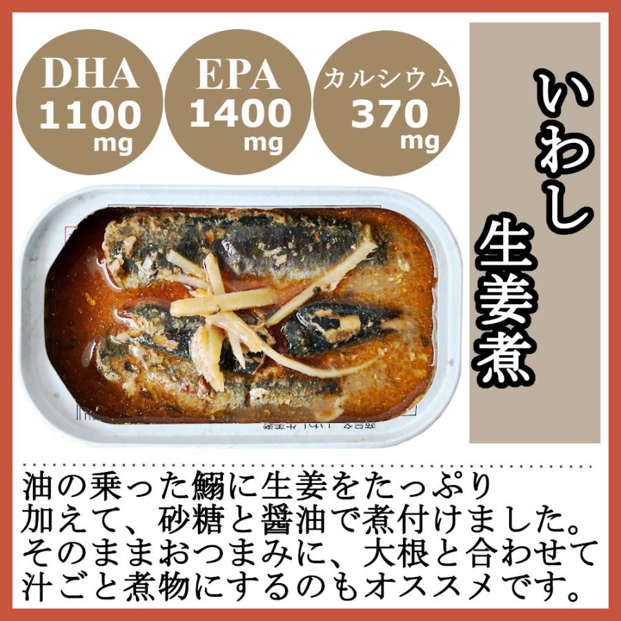 いわし生姜煮缶 100gx24缶 業務用 鰯ショウガ煮付け イワシ煮 まとめ買い 買い置き おつまみ アテ 酒の肴 おつまみセット 送料無料