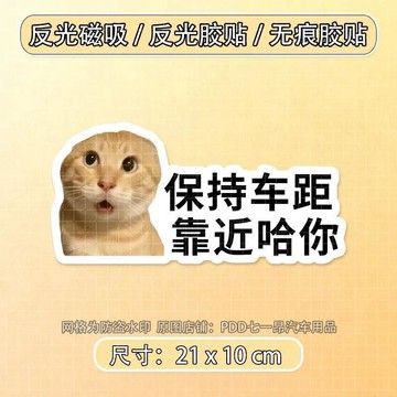 🐱【新款meme貓咪車貼】搞笑個性文字 表情包磁吸車窗裝飾 台灣出貨