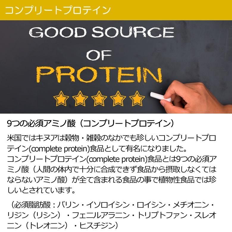 有機キヌアパウダー キヌア粉 500g 1袋 ペルー産 有機JASオーガニック グルテンフリー