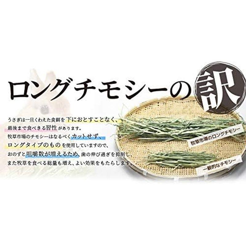 牧草市場 スーパープレミアム チモシー 1番刈り 牧草 3kg (500g×6パック)